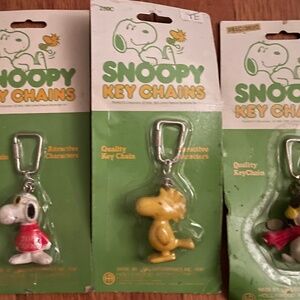 Collectors key chains